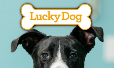 Lucky Dog
