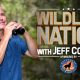 Wildlife Nation with Jeff Corwin