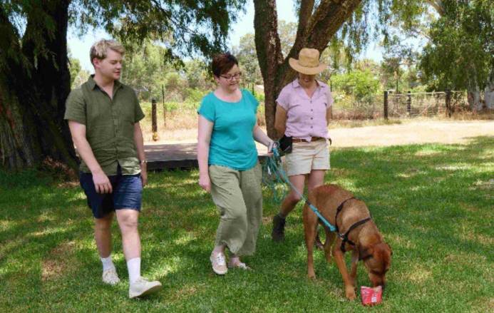 ABC TV's NEW LEASH ON LIFE Join Rosey on a Journey of Healing and Hope Tuesday 25 July