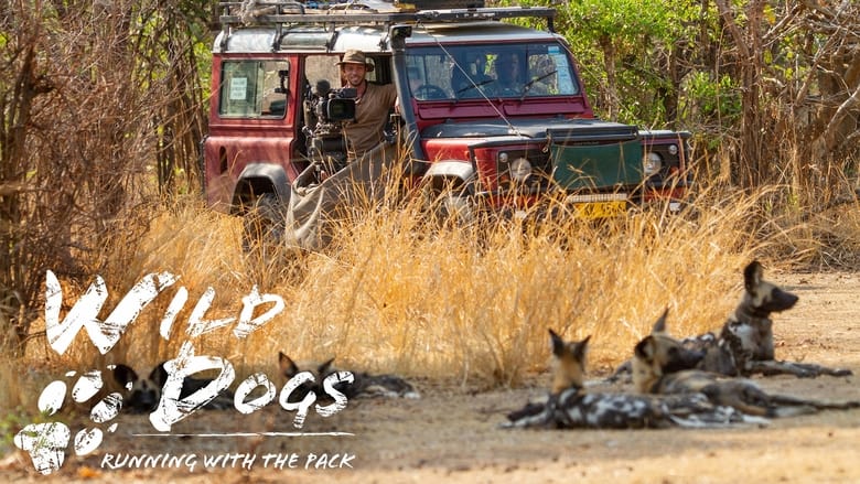 Wild Dogs: Running with the Pack