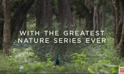 Planet Earth III Premieres on BBC America This November 4