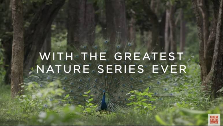 Planet Earth III Premieres on BBC America This November 4