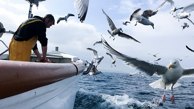 Cornwall: This Fishing Life