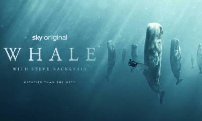 Whale with Steve Backshall Premieres December 3 on Sky Nature