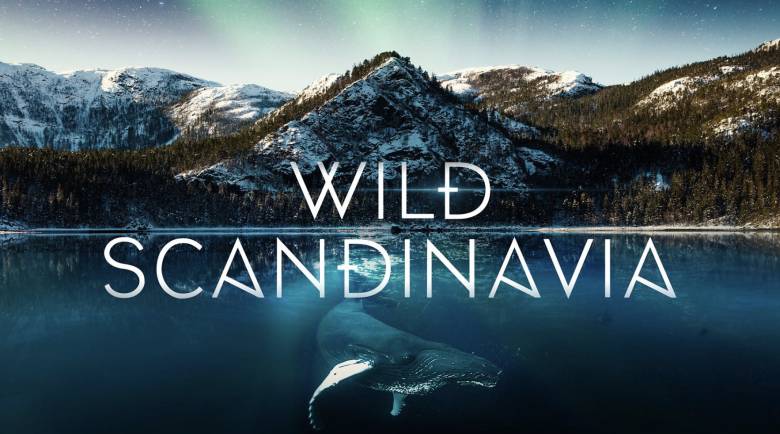 Wild Scandinavia Premieres Soon on BBC Two, Rebecca Ferguson Narrates