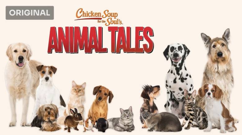Chicken Soup for the Soul Animal Tales