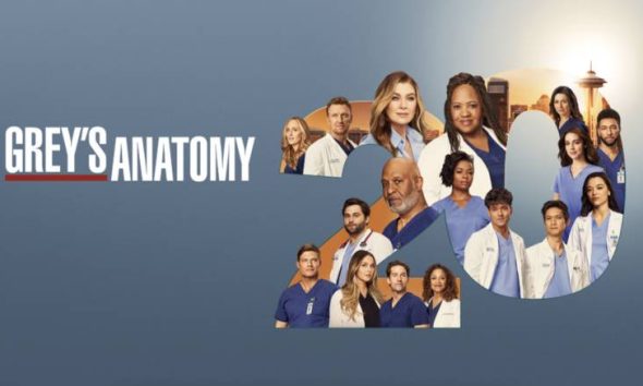 Grey's Anatomy 20 ABC