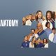 Grey's Anatomy 20 ABC
