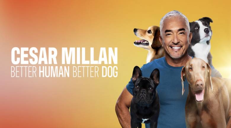 Cesar Millan Better Human Better Dog