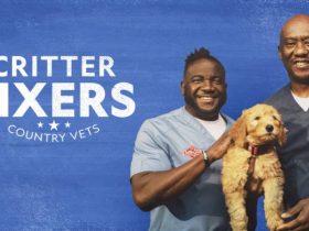 Critter Fixers Country Vets
